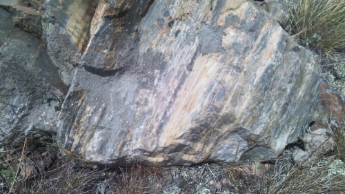 Гигантские зелёные валуны для ландшафтного дизайна весом более 5 тонн купить в Егорьевске