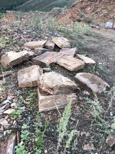 Плитняк кора дерева 50-100мм для пошаговых дорожек купить в Егорьевске